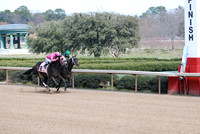Oaklawn Park 3-3-13 JWM0003 (© Angela Greb)
