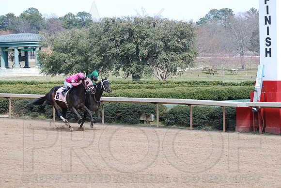 Oaklawn Park 3-3-13 JWM0003 (© Angela Greb)