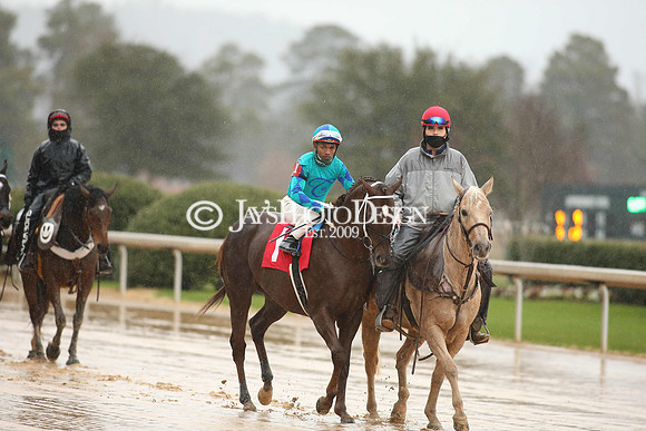 z210206_KingCottonStakesDay_Manning__0152