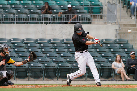 ASU vs. UAPB (Dickey Stephens Park) 5-8-12 (Justin Manning)100