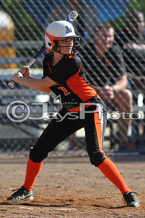 Nashville @ Malvern Softball 4-20-2015 (©Justin Manning) JWM_0051
