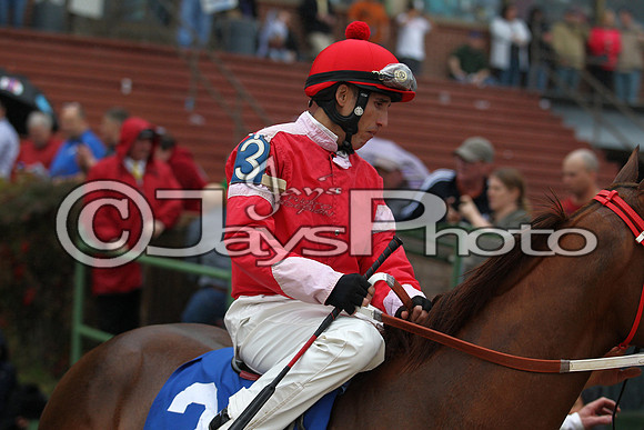 Oaklawn (Rebel Stakes Day) 3-14-2015 (©Justin Manning) JWM_173