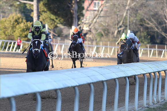 z210122_SmartyJonesStakesDay_Manning_0489