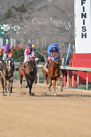 Honeybee Stakes (Grade III) 3-8-2014 (© Justin Manning) JWM_1406