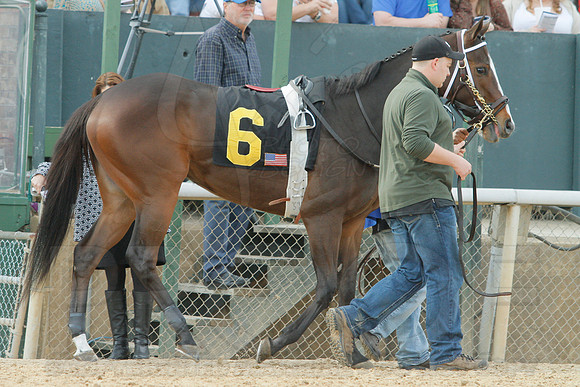 Honeybee Stakes (Grade III) 3-8-2014 (© Justin Manning) JWM_0090