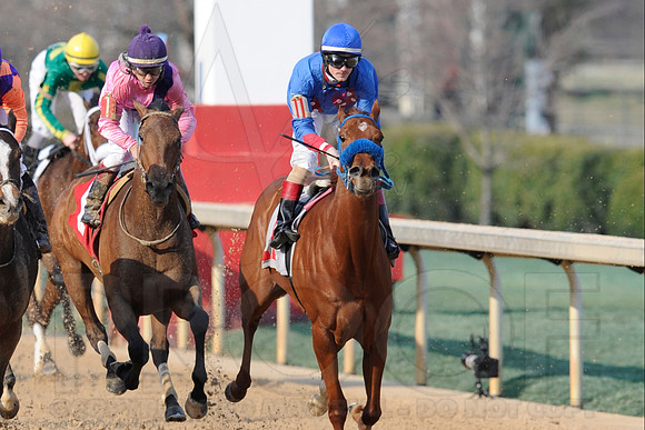 Honeybee Stakes (Grade III) 3-8-2014 (© Justin Manning) JWM_1411