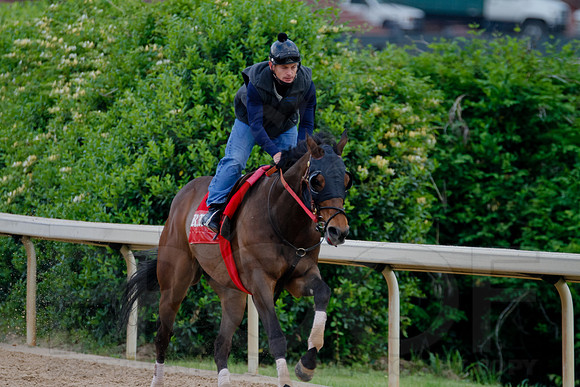 _MG_0038