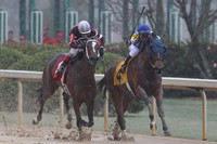 Oaklawn (Rebel Stakes Day) 3-14-2015 (©Justin Manning) JWM_044