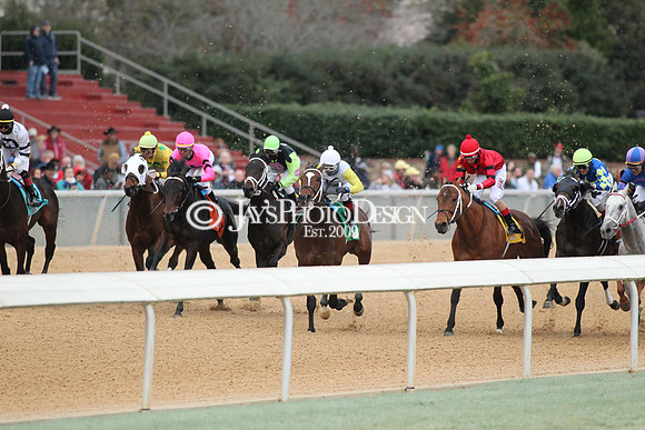 z190218_SouthwestStakesDay_Manning_1278