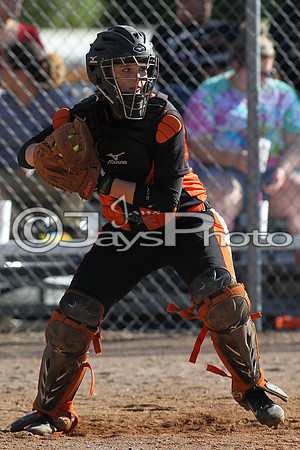 Nashville @ Malvern Softball 4-20-2015 (©Justin Manning) JWM_0121