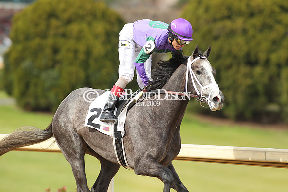 z190218_SouthwestStakesDay_Manning_039