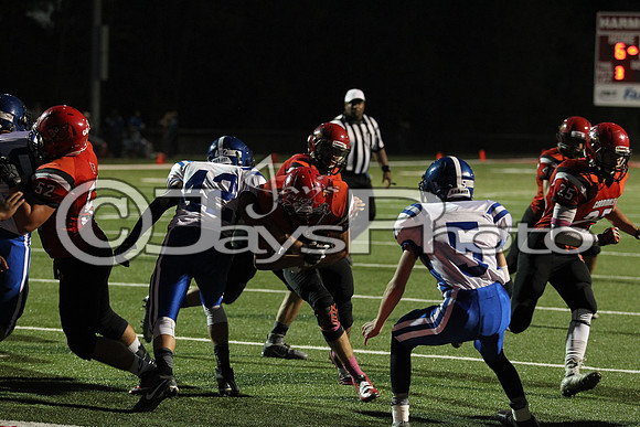 Bismarck @ Harmony Grove 10-2-2015 (©Justin Manning) JWM_0311