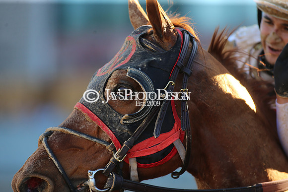 z220319_WhitmoreStakesday_Manning_0792