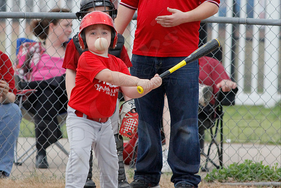 Phillies vs. Razorbacks 5-6 year old baseball 4-3-2014 (© Justin Manning) JWM_0255