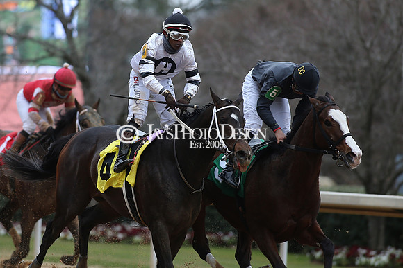 z210123_Fifth Season Stakes_Manning_0056