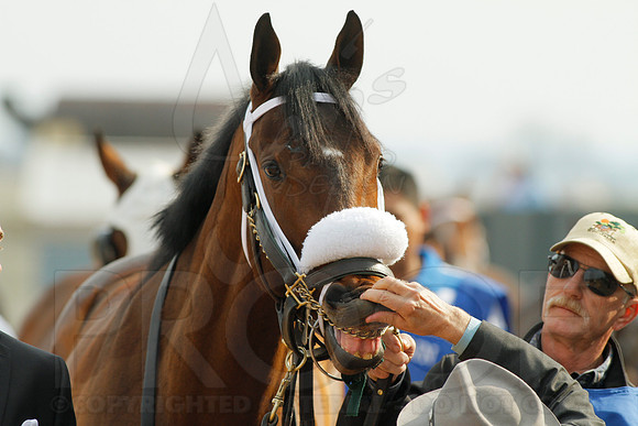 Honeybee Stakes (Grade III) 3-8-2014 (© Justin Manning) JWM_0070