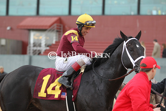 z190218_SouthwestStakesDay_Manning_793