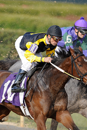 Honeybee Stakes (Grade III) 3-8-2014 (© Justin Manning) JWM_1374