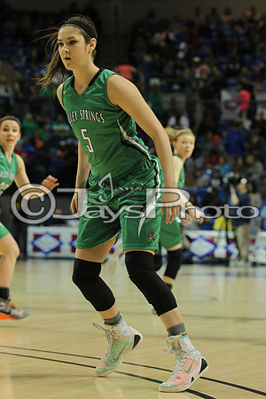 3A Girls State Finals Valley Springs vs. Greenland 3-12-16_JWM_0229