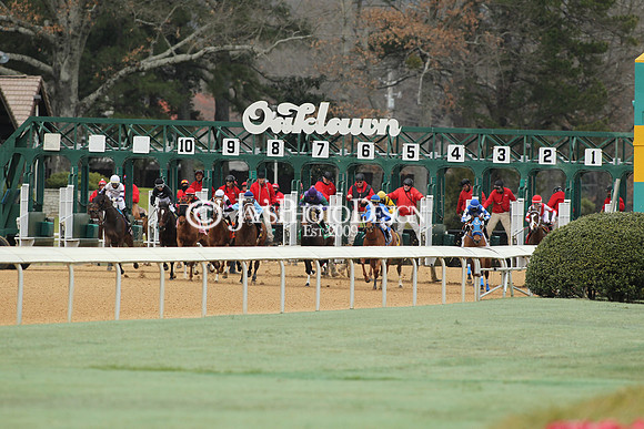 z190218_SouthwestStakesDay_Manning_367