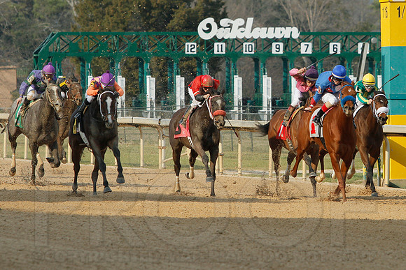 Honeybee Stakes (Grade III) 3-8-2014 (© Justin Manning) JWM_0279