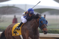 Oaklawn (Rebel Stakes Day) 3-14-2015 (©Justin Manning) JWM_049