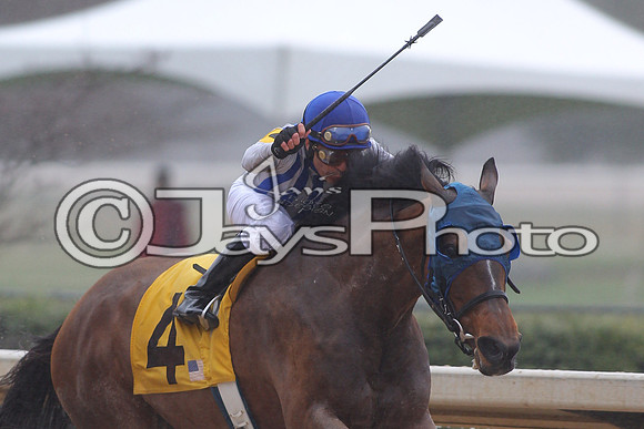 Oaklawn (Rebel Stakes Day) 3-14-2015 (©Justin Manning) JWM_049