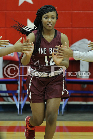 Pine Bluff @ LR Parkview JWM_0039