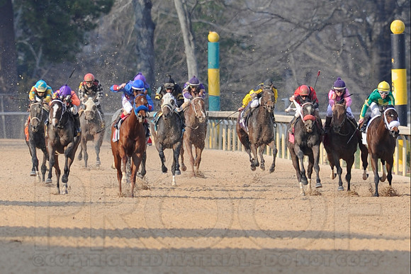 Honeybee Stakes (Grade III) 3-8-2014 (© Justin Manning) JWM_1392