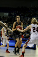 1A Girls State Finals-Nemo Vista vs. Wonderview 3-14-2014 (© Justin Manning) JWM_0014