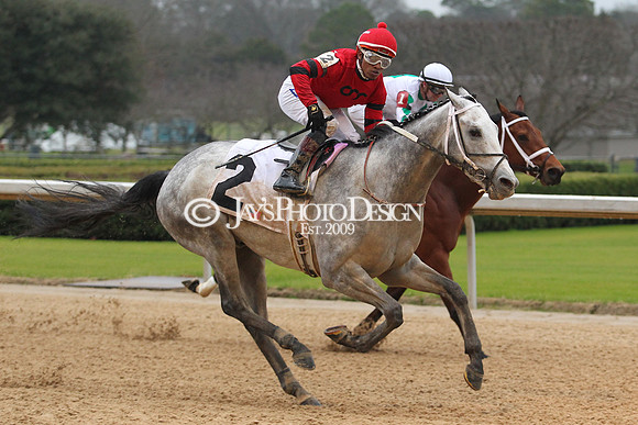 z200217_SouthwestStakesDay_Manning_4105