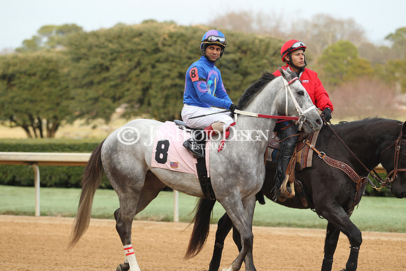 z190125_SmartyJonesStakesDay_Manning_0273