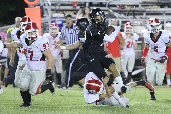 Glen Rose @ Bauxite 9-13-13 (© Justin Manning) JWM0345