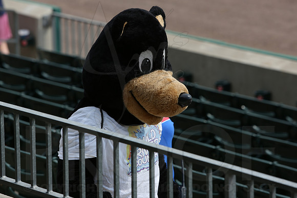 Northwest Arkansas Naturals @ Arkansas Travelers 9-2-13 (© Justin Manning) JWM0202