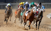 Oaklawn Park (Scenery) 1-26-14 (©Justin Manning) JWM_0026