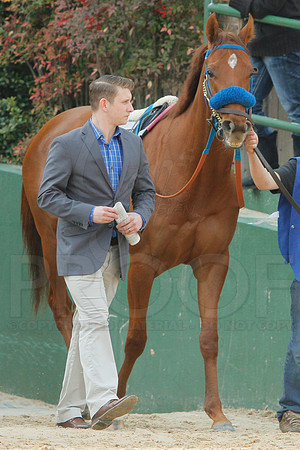 Honeybee Stakes (Grade III) 3-8-2014 (© Justin Manning) JWM_0102