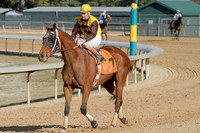 Oaklawn Park (Scenery) 1-26-14 (©Justin Manning) JWM_0043