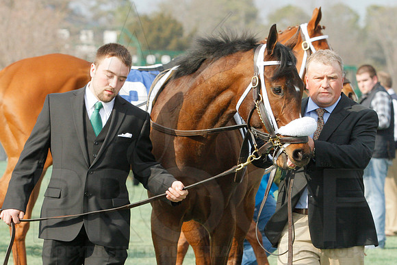 Honeybee Stakes (Grade III) 3-8-2014 (© Justin Manning) JWM_0113