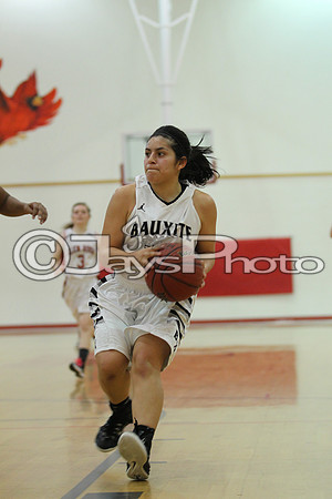 Tri-Lakes All Star Baketball Game 3-17-2015 (©Justin Manning) JWM_0180