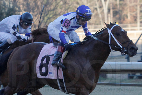 Smarty Jones Stakes 01-20-14 (©Justin Manning) JWM_0420