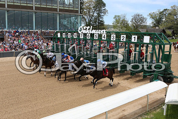 Arkansas Derby Day 4-11-2015 (©Justin Manning) JWM_0420