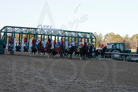 Oaklawn 1-21-13 (Smarty Jones Stakes) (Justin Manning)0205