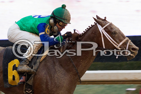 50th Running Southwest Stakes (Grade III) 2-22-2015 (©Justin Manning) JWM_141-2