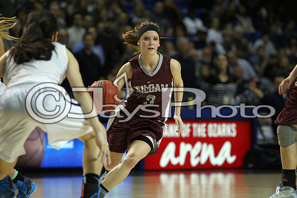 Greenwood vs. Siloam Springs 6A State Finals 3-13-2015 (©Justin Manning) JWM_349