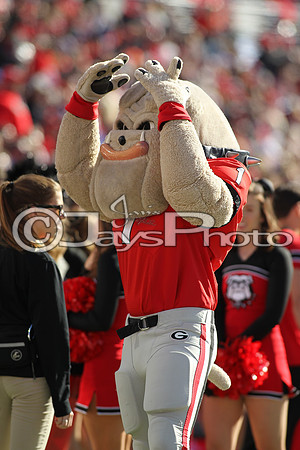 Autozone Liberty Bowl Georgia Bulldogs vs TCU Horned Frogs_JWM_01029