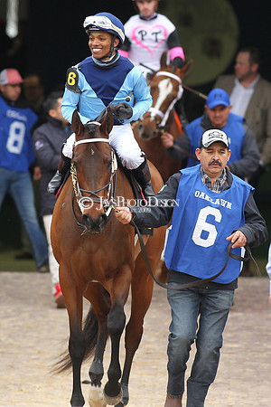z190218_SouthwestStakesDay_Manning_229