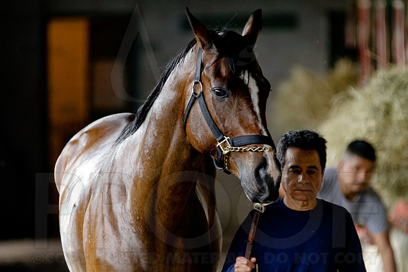 Morning Workouts (Arkansas Derby)18