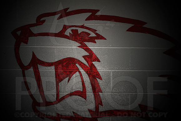 Harmony Grove @ Glen Rose softball 3-31-2014 (© Justin Manning) JWM_0001-1