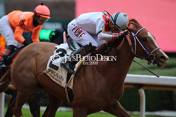 z250104_MockingbirdStakes _JWM_0606