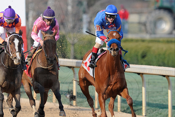 Honeybee Stakes (Grade III) 3-8-2014 (© Justin Manning) JWM_1416
